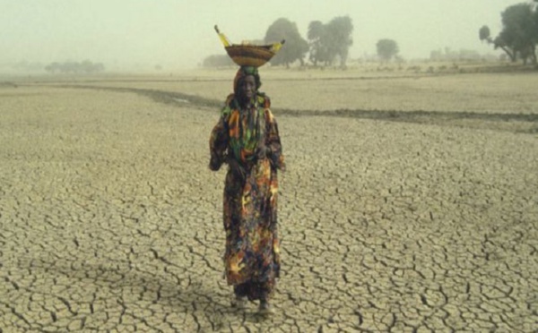 ​13 millions de personnes en détresse au Sahel