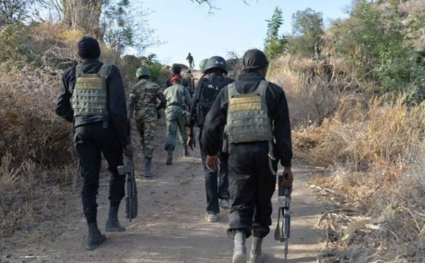 ​Vidéo de massacre: le Cameroun dément l'implication de ses soldats