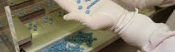 ​Santé. Une étude sur le Viagra arrêtée aux Pays-Bas après la mort de onze bébés