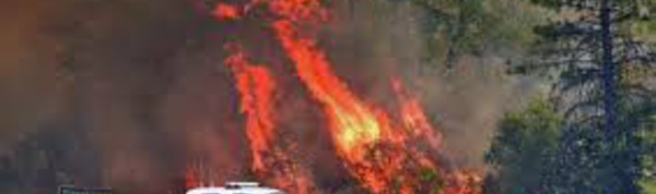 ​La Californie placée en état d'urgence partiel après d'importants incendies