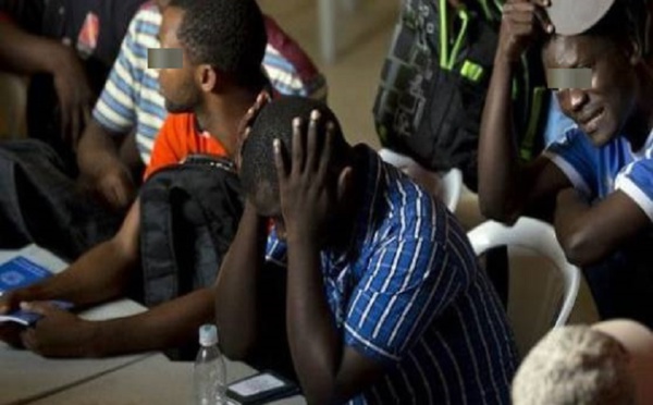 Contribution : Pour une vérité des faits (Par  Dr. Serigne Ababacar Cissé Ba)