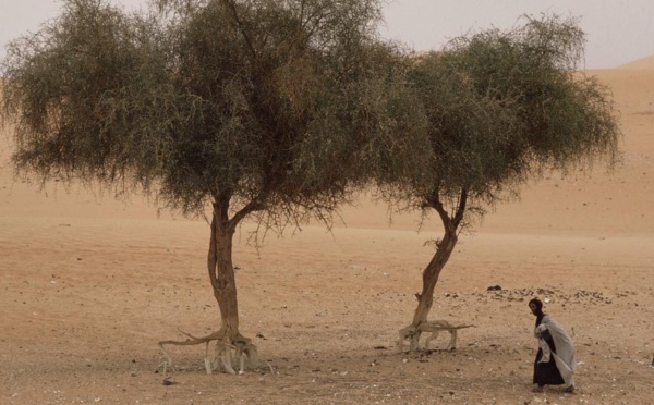 Les dérèglements climatiques font augmenter la faim dans le monde
