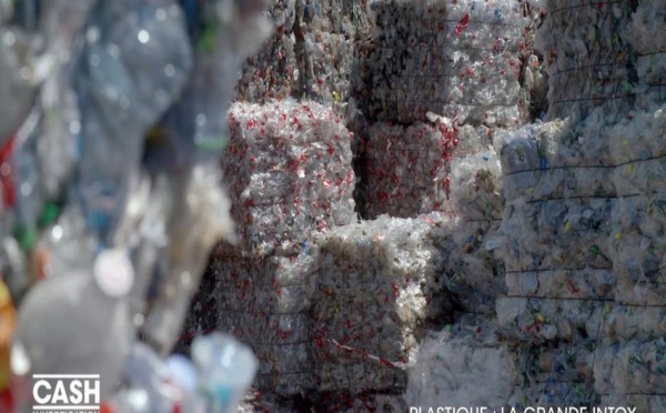 World CleanUp Day: vaste action citoyenne pour nettoyer la planète en un jour