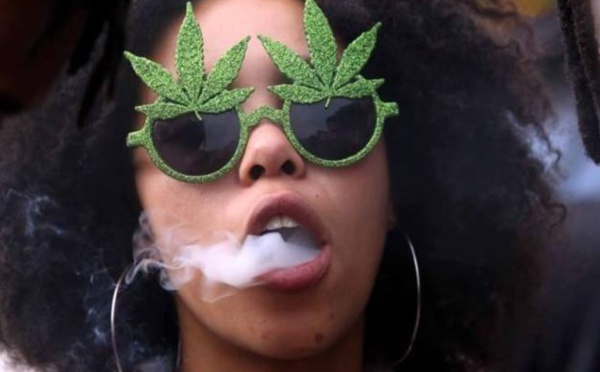 Le cannabis privé légalisé en Afrique du Sud