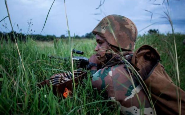 Des affrontements font 16 morts en RDC