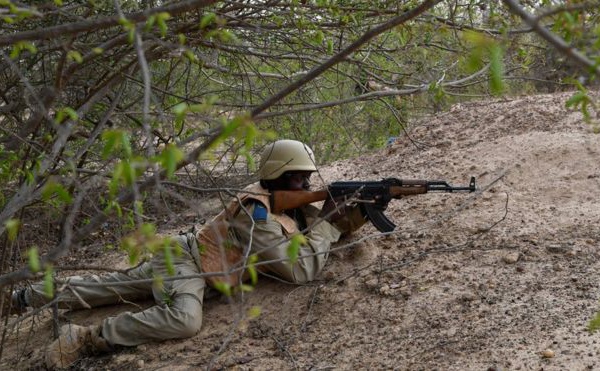 Dix gendarmes tués dans une embuscade au Burkina Faso