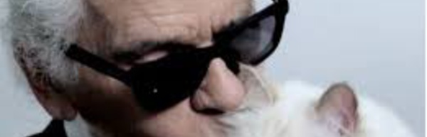 Décès Karl Lagerfeld : sa chatte «Choupette» désignée comme héritière