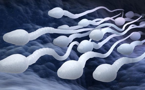 La pilule contraceptive pour hommes a passé avec succès les premiers tests cliniques