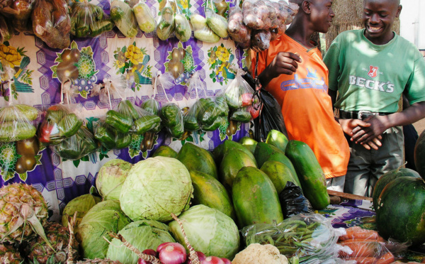 Des centaines de millions de malades, tous les ans, en raison de nourriture contaminée