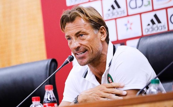 Maroc : Renard n'a pas quitté son poste