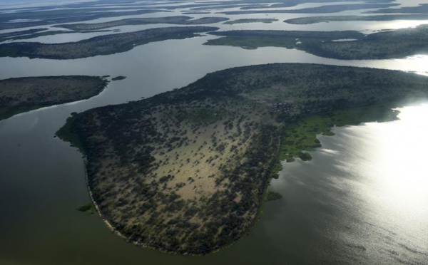 Dangbet Zakinet: «L'impact de Boko Haram est énorme» sur la région du lac Tchad