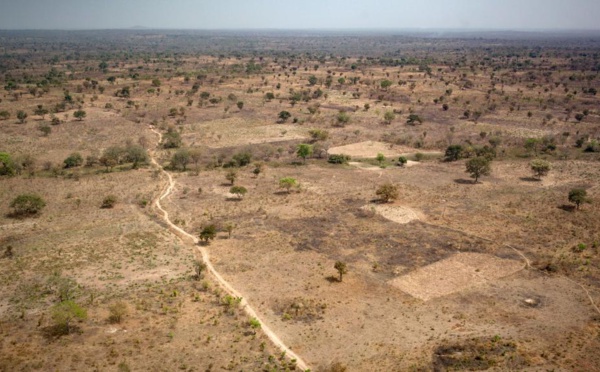 RCA: un rapport accablant pour les 3R après le massacre de Paoua