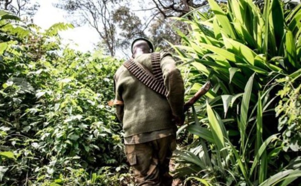 Plus de 900 victimes de violences sexuelles en RDC en un an