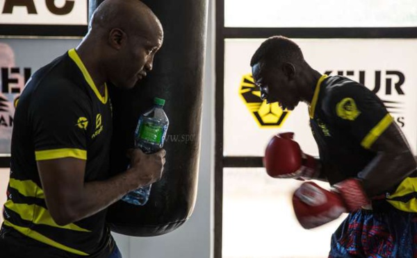 Au Sénégal, un club de boxe pour freiner les départs en pirogue