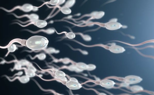 Les hommes sont-ils prêts à prendre la pilule?