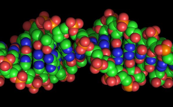Décoder l'ADN africain pourrait aider à lutter contre les maladies