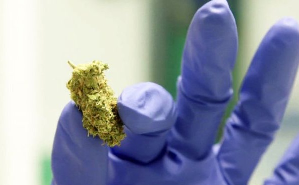 Deux médicaments à base de cannabis, utilisés pour traiter l'épilepsie et la sclérose en plaques, ont été approuvés par le NHS en Angleterre.  Il suit les nouvelles lignes directrices de l'organisme consultatif sur les médicaments NICE, qui a examiné