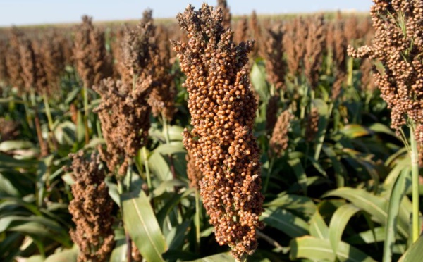 La Chine et les Etats-Unis vont signer un accord commercial