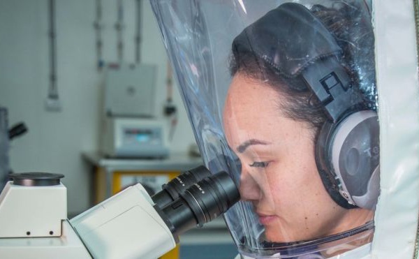 Coronavirus : les scientifiques espèrent trouver un vaccin en un temps record