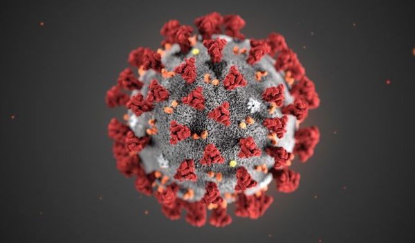 Coronavirus : A quel point sommes-nous proches d'un vaccin?