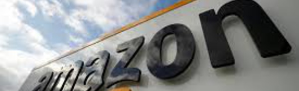 La crise du coronavirus met à mal le "modèle" Amazon