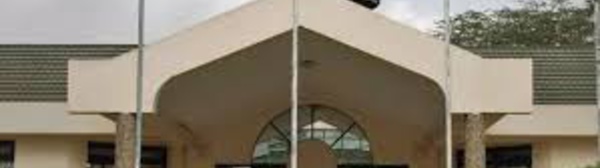 La Cour Africaine des droits de l'homme : vers une perte de légitimité ?