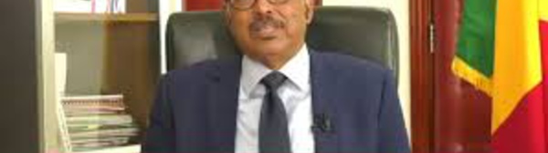 Michel Sidibé, ministre malien : "Hormis le Covid-19, d'autres pathologies sont tueuses en Afrique"
