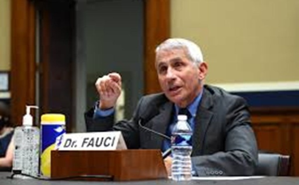 ​Coronavirus dans le monde : moment "critique" pour les USA, le bilan par pays