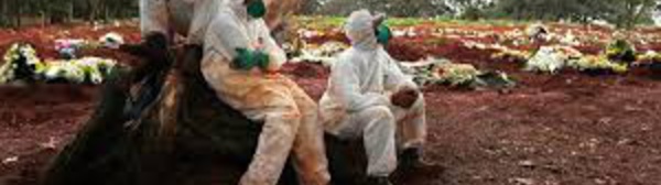 Covid-19 : le nombre mondial de cas a dépassé la barre des 10 millions