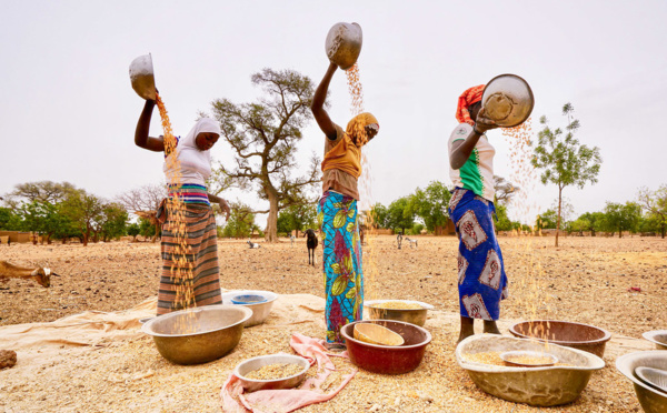 Afrique de l’Ouest et centrale : le nombre de personnes souffrant d’insécurité alimentaire pourrait atteindre 57,6 millions d’ici fin 2020 (PAM)