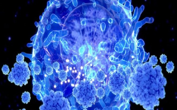 Coronavirus : l'immunité pourrait être plus répandue que ne le suggèrent les tests