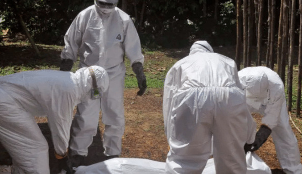 COVID-19: L’Afrique du Sud franchit la barre des 5.000 morts