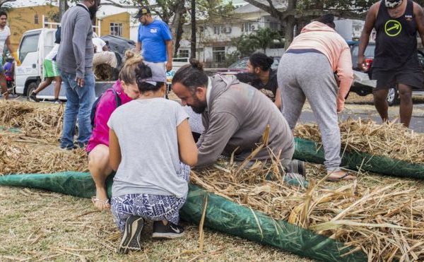 Marée noire sur l'île Maurice : les habitants mobilisés pour contenir les dégâts environnementaux
