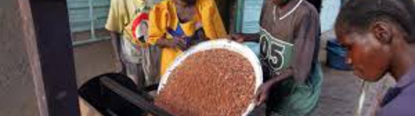 Burkina Faso: la Banque africaine de développement soutient les producteurs de karité