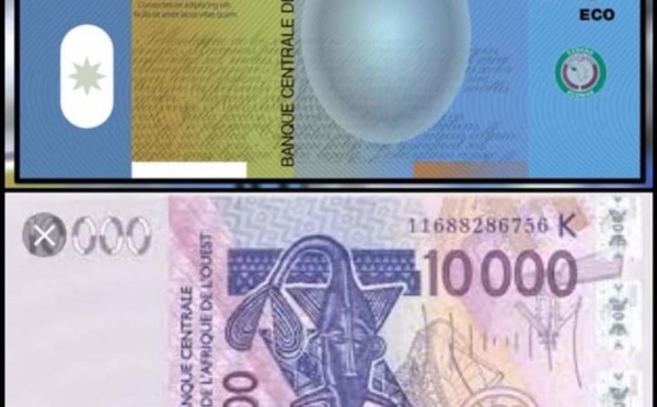 CFA-Eco : la monnaie unique de la Cedeao « différée à une date ultérieure »