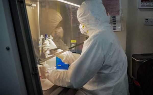 Des scientifiques africains cherchent à cartographier le génome du coronavirus