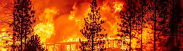 Des incendies meurtriers ravagent la côte ouest américaine