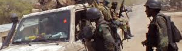 Cameroun: une attaque jihadiste endeuille le village de Zeleved, dans l'Extrême-Nord