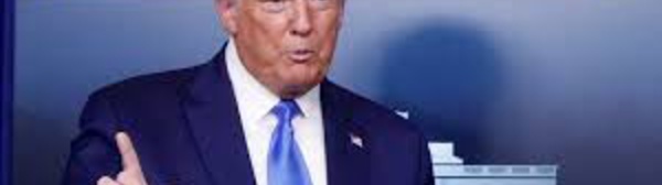 Donald Trump n'a payé que 750 dollars d'impôts l'année de son élection, selon le NYT