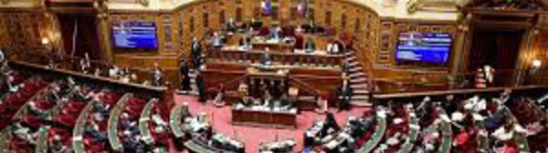 France: la loi sur la restitution d'œuvres d’art au Bénin et au Sénégal à l'Assemblée