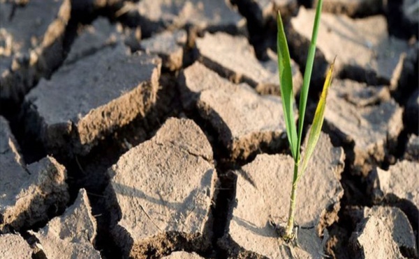 Changement climatique : l'analyse des températures montre que les objectifs de l'ONU peuvent être atteints