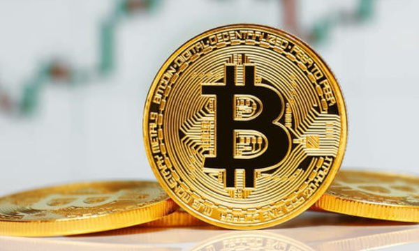 Le bitcoin dépasse les 30 000 dollars pour la première fois de son histoire