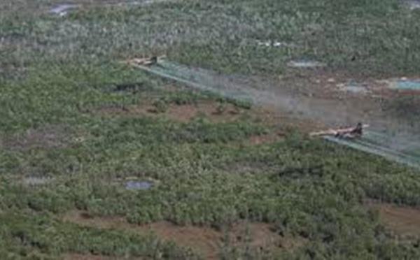 France : le procès historique de l’Agent Orange