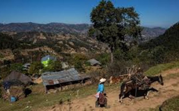 Massacre de migrants au Mexique: deux Guatémaltèques et deux Mexicains identifiés