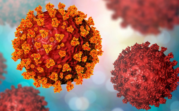 Covid-19: Un nouveau variant identifié en France alors que l'anglais représente jusqu'à "45% des contaminations 