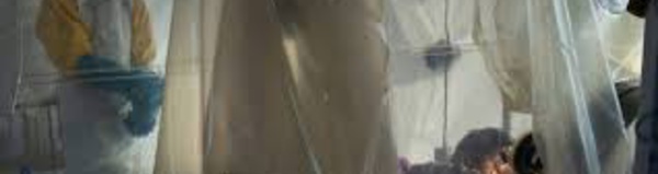 Plus de 520 cas de peste et 31 morts enregistrés en RDC (ministre)