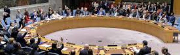 ONU-Libye: le Conseil de sécurité réclame «le retrait des troupes étrangères et mercenaires»