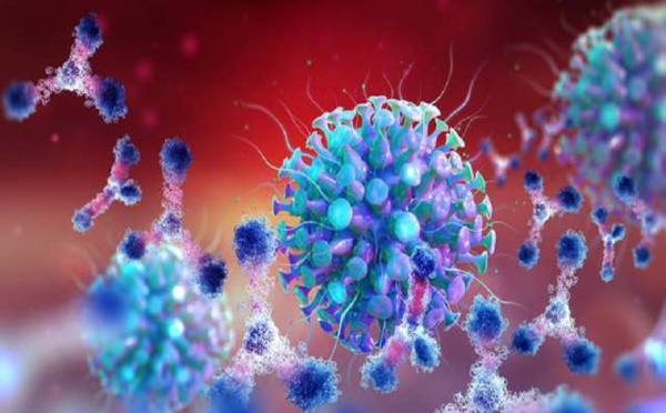 "Double mutation" : quels sont les risques de la nouvelle variante du Covid-19 en Inde?