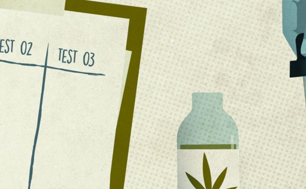 La France lance son expérimentation du cannabis médical