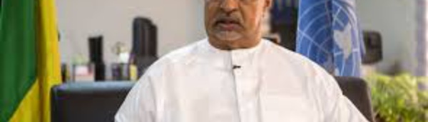 ONU: Annadif, prochain représentant spécial pour l'Afrique de l'Ouest et le Sahel